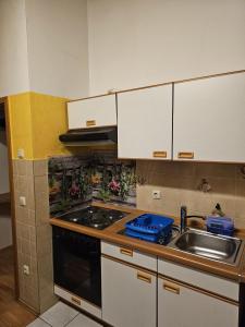 uma cozinha com um lavatório e um fogão forno superior em Pension & Ferienwohnungen Richter em Gerwisch