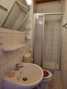 uma casa de banho com um lavatório, um WC e um chuveiro em Pension & Ferienwohnungen Richter em Gerwisch