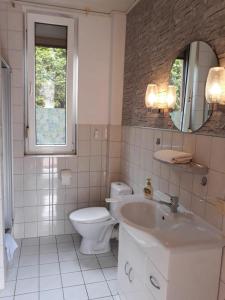 een witte badkamer met een toilet en een wastafel bij Pension & Ferienwohnungen Richter in Gerwisch