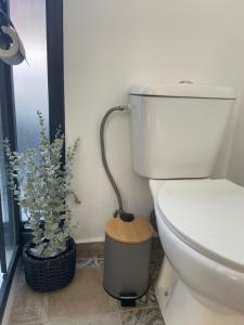 een badkamer met een toilet en een potplant bij Apartamento Deluxe II RB in Ribeira Brava