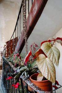 a bunch of plants on a railing next to a staircase at Charming Paris Hideaway in Paris