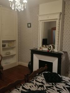 蒙特爾梅的住宿－Chez Many, par Fred et Henri，一间卧室设有壁炉和镜子