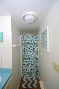 a bathroom with a shower with a shower curtain at Serendipity -- Hot Tub - Pet Friendly - Fire Pit - Grill - Porch - Deck - Wifi - Pool Access - Games in Berkeley Springs