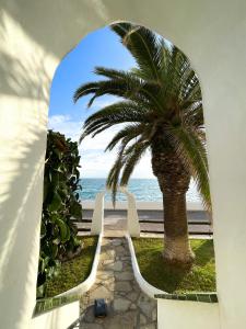 uma palmeira e o oceano através de uma janela em Apartment Raco em Barcelona