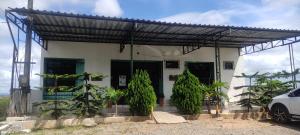 a white house with plants in front of it at Pousada BR 423 in Garanhuns