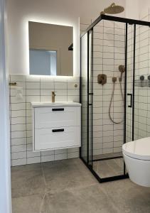 een badkamer met een wastafel en een douche met een spiegel bij Willa Powaga in Łeba