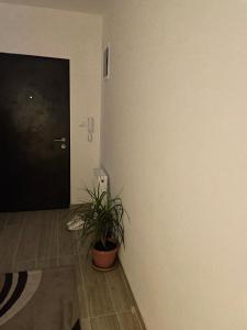 TV/trung tâm giải trí tại Ilić dvosoban apartman