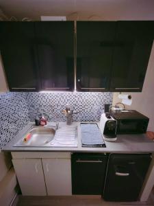 a kitchen with green cabinets and a sink at Studio 1 piece vacances proche de la mer in Le Grau-du-Roi