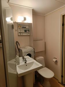 a bathroom with a sink and a toilet at Apartment Nilsiä in Kuopio