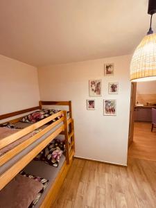 a bedroom with bunk beds and pictures on the wall at Czapla siwa in Sztutowo