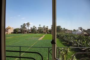Κήπος έξω από το Jorff View Villa