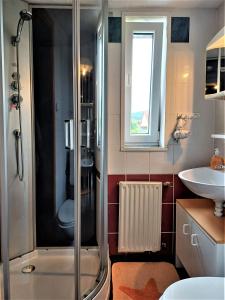 een badkamer met een douche en een wastafel bij Pension Altes Haus in Hannoversch Münden