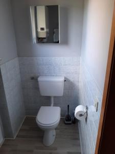 a bathroom with a white toilet and a mirror at Art-Apartment III in Bad Karlshafen
