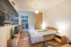 a bedroom with a bed and a television in it at V & V Studio Apartments 2 in Niš