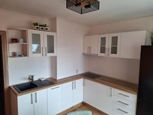 a kitchen with white cabinets and a sink at Temple saint sava in Dušanovac (historical)