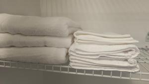 Gallery image of Charming and Comfortable Suite with Exclusive Entrance in Riverview