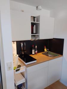 Kuchyňa alebo kuchynka v ubytovaní Zentrale Wohnung an der Gondel & Naturblick