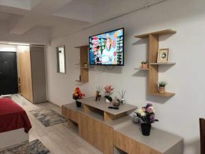 ein Wohnzimmer mit einem Flachbild-TV an der Wand in der Unterkunft Studio Lavinia in Eforie Nord