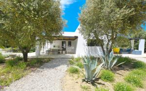 une maison blanche avec un banc et des arbres dans l'établissement Villa Olivida con piscina a sfioro, à Ostuni