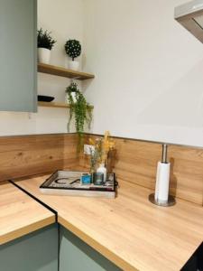- une cuisine avec un comptoir en bois orné de plantes dans l'établissement Joli studio dans villa niçoise sur les collines, à Nice
