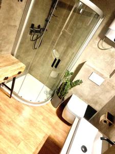 un baño con espejo y una planta. en K&H Apartman en Jihlava