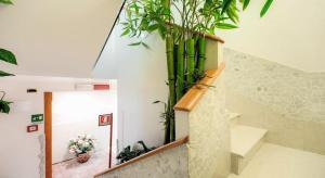 a staircase with potted plants on the wall at Antica Casa Carettoni in Venice +17 photos