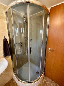 una doccia con porta in vetro in bagno di Loft with Rooftop and Garage a Budapest