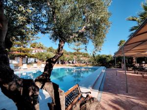 a swimming pool with a bench next to a tree at ArokariApartments in Koroni