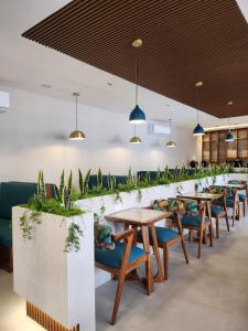 un restaurante con mesas, sillas y plantas en Hotel Tepeu, en Santa Elena