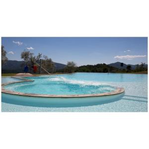 ein großer Pool mit blauem Wasser und Bergen im Hintergrund in der Unterkunft Appartamento Virginia in Monti di Licciana Nardi