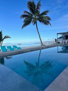 a palm tree and a swimming pool next to the beach at Pension Irivai appartement "Uparu" 1 chambre bord de mer in Uturoa
