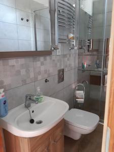 a bathroom with a sink and a toilet at Apartament w Willi Lemoniada in Ustka