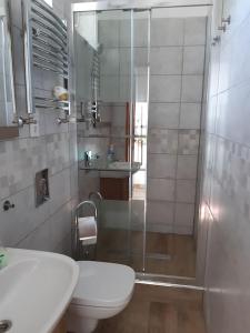 W łazience znajduje się prysznic, toaleta i umywalka. w obiekcie Apartament w Willi Lemoniada w Ustce