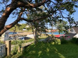Ein Baum in einem Hof mit einem Wasserkörper in der Unterkunft Reinefjorden Lodge in Reine