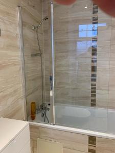 a bath tub with a shower in a bathroom at Sandra Stay in London