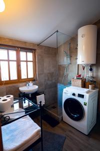 uma casa de banho com uma máquina de lavar roupa e um chuveiro em Seosko turisticko domacinstvo Radivojevic em Čačak
