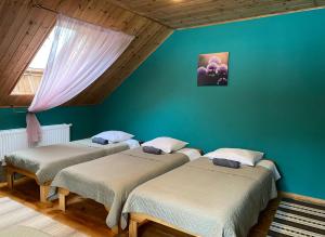 three beds in a room with a blue wall at Dzintara Pirts in Vigale