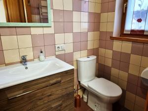 a bathroom with a toilet and a sink at Antano Vila in Palanga