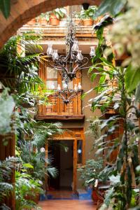 Zahrada ubytování Hotel Rincon de Josefa