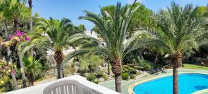 vistas a una piscina del complejo con palmeras en Bungalow Le Petit Chat, en Pedreguer