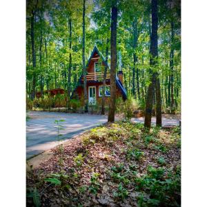 a log cabin in the woods with a driveway at STANET Forest Houses in Novoberdo