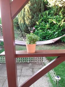 Κήπος έξω από το Ferienwohnung Bodensee