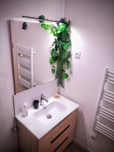 baño con lavabo, espejo y planta en Le Bali, en La Seyne-sur-Mer