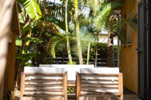 Zahrada ubytování Villa cactus avec piscine et vue mer