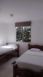 two beds in a room with a window at Hostal Los Arhuacos in Santa Marta