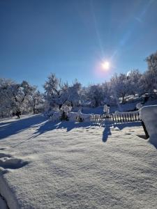 un parc recouvert de neige avec le soleil en arrière-plan dans l'établissement Wachingerhof, à Bad Feilnbach