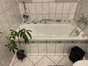 a white bath tub in a bathroom with a plant at Ferienwohnung Rosa - b48939 in Horn-Bad Meinberg