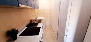 Cuina o zona de cuina de Apartman Studenjak