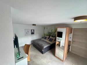 a bedroom with a bed and a mirror at Ferienwohnung im Odenwald in Limbach