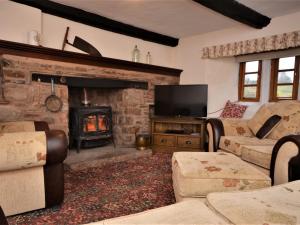a living room with a fireplace and a television at 3 bed in Coleford 52148 in Bream